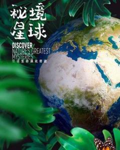 燃烧吧大脑装瓶子游戏